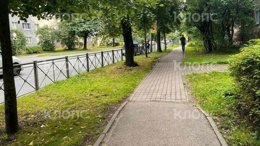 Дошло до полиции: в Калининграде велосипедист набросился с кулаками на пешехода с ребёнком (фото)   - Новости Калининграда | Фото: очевидец