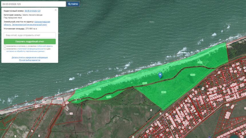 Под Зеленоградском сдают в аренду 27 гектаров земли на побережье - Новости Калининграда | Фото: ГИС торги