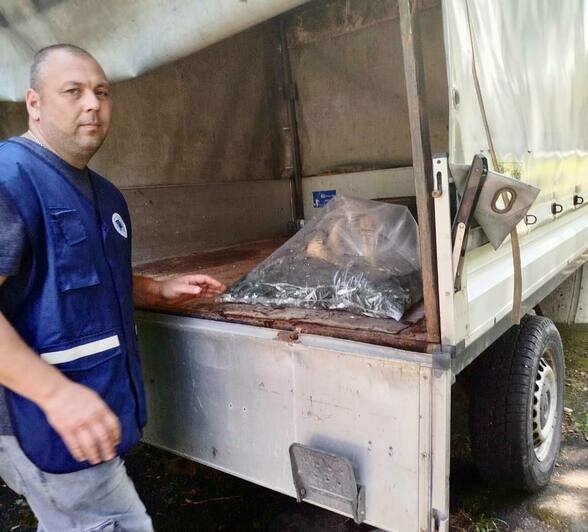 20 тысяч мальков сига выпустили в Куршский залив  - Новости Калининграда | Фото: Минприроды Калининградской области