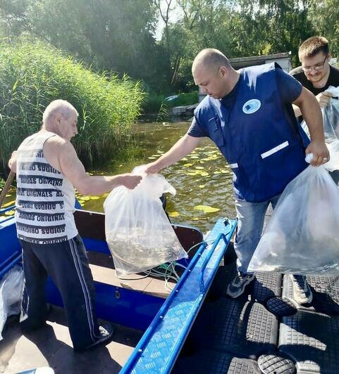 20 тысяч мальков сига выпустили в Куршский залив  - Новости Калининграда | Фото: Минприроды Калининградской области