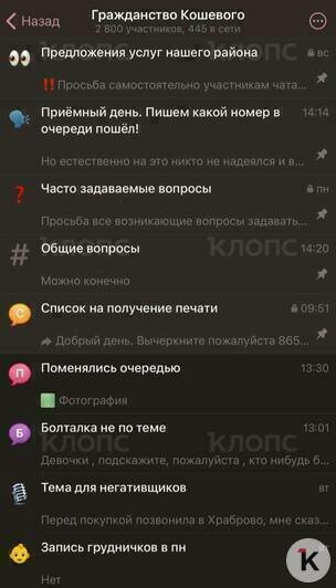 В чате отдела по вопросам миграции обсуждаются все насущные темы | Фото: «Клопс»