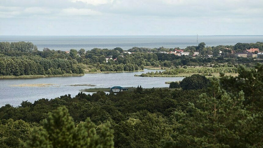 Что видно через дырку в заборе: как живёт посёлок на Куршской косе, где планируется масштабная стройка (фото, видео)  - Новости Калининграда | Фото: «Клопс»