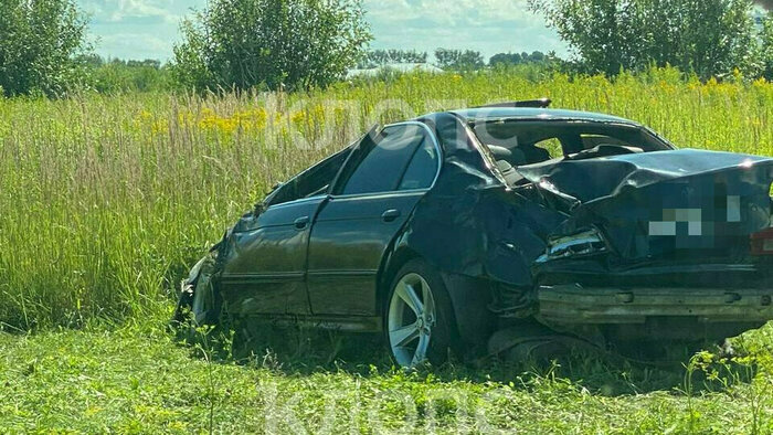 Смертельное ДТП под Черняховском, сбежавший малыш и цены на местные овощи: 15 событий, которые обсуждали в выходные  - Новости Калининграда | Фото: очевидец