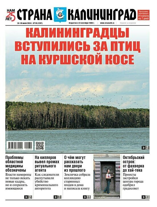 Жители области вступились за птиц на Куршской косе: читайте в газете «Страна Калининград» - Новости Калининграда