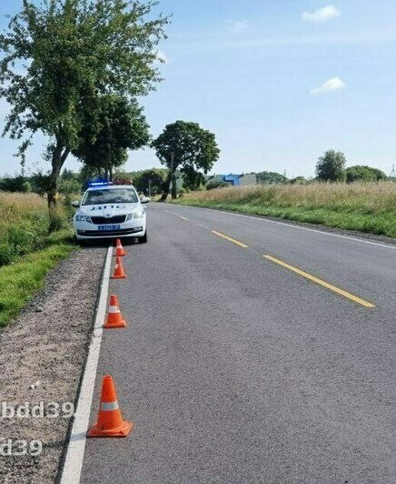 Под Зеленоградском мотоциклист врезался в корову на дороге, мужчина в больнице - Новости Калининграда | Фото: ГАИ региона