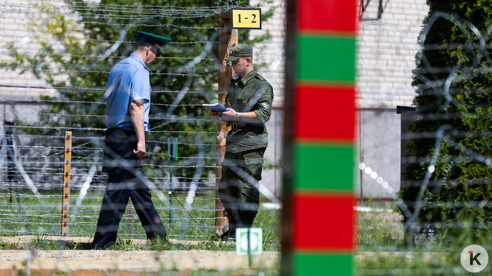 Нападение клопов и рост цен: что обсуждали калининградцы на минувшей неделе - Новости Калининграда | Фото: Александр Подгорчук / «Клопс»