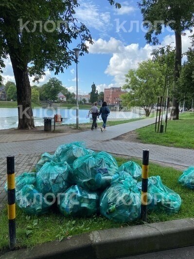 «Не о таком озеленении просили»: калининградцы пожаловались врио губернатора на захламлённые берега Поплавка и Вагоностроительную (фото) - Новости Калининграда | Фото: Александр Панфилов