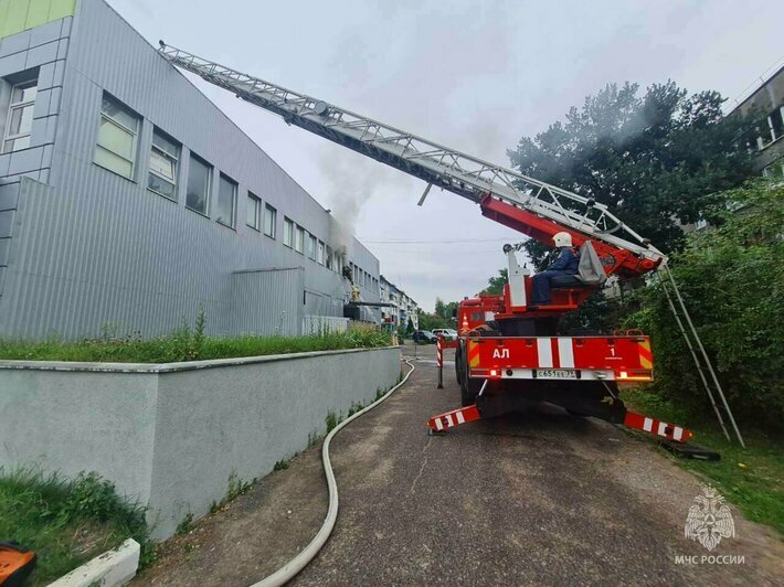 В Гурьевске из горящего супермаркета эвакуировали 50 человек  | Фото: пресс-служба МЧС по Калининградской области 