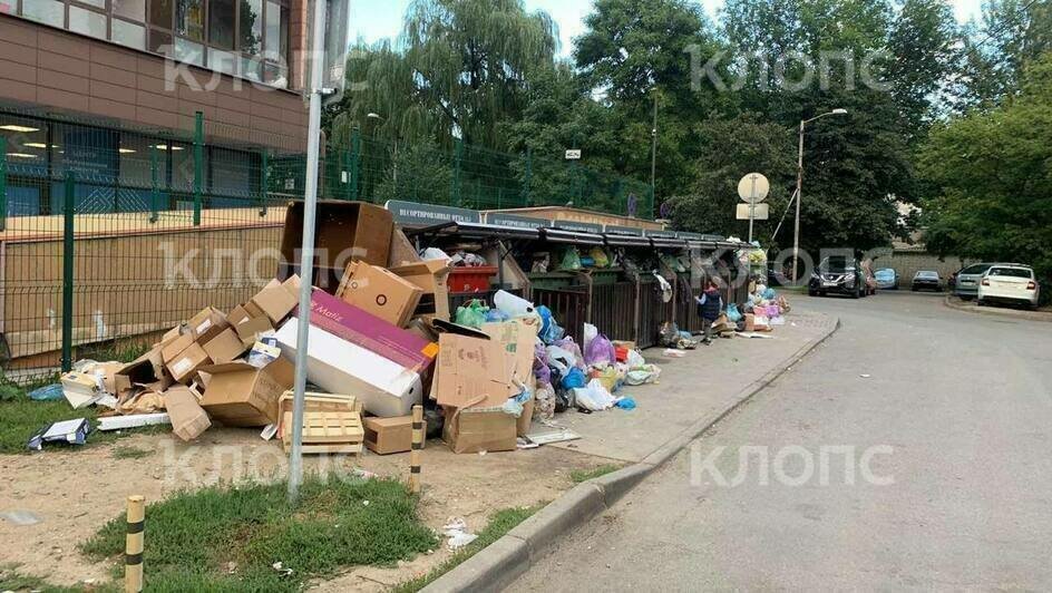 Состояние контейнерной площадки в разный период времени. | Фото: предоставила Светлана