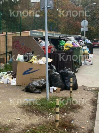 Состояние контейнерной площадки в разный период времени. | Фото: предоставила Светлана