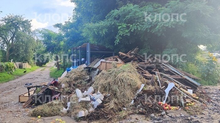 Калининград, Балтийск и Морское: новый хит-парад переполненных помоек (фото, видео)  - Новости Калининграда | Фото: предоставили местные жители