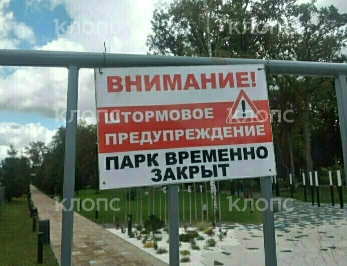 В Гурьевске из-за штормового ветра закрыли парки (фото) - Новости Калининграда | Фото: очевидец