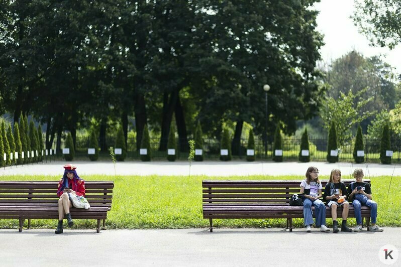 Праздник гик-культуры: как прошёл косплей-фестиваль Panicon в Калининграде (фоторепортаж) - Новости Калининграда | Фото: Александр Подгорчук / «Клопс»