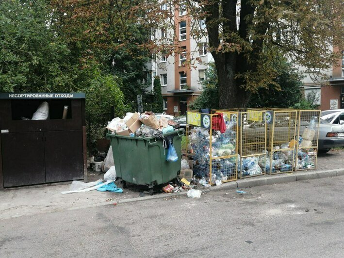 Подъезжают люди и вываливают мусор кучами: калининградцы снова недовольны переполненными кесками в своих дворах (фото)   - Новости Калининграда | Фото: Михаил