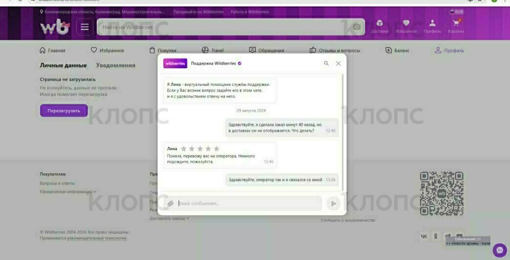 Калининградцы пожаловались на сбой в работе маркетплейса Wildberries (фото)  - Новости Калининграда | Фото: Светлана