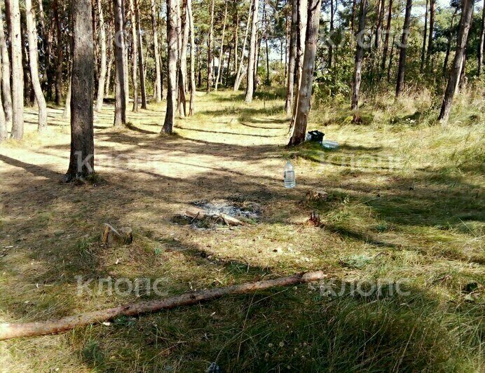 В Сокольниках палаточники, уезжая, оставили после себя мусор и горящий костёр (фото) - Новости Калининграда | Фото: Зоя Будникова