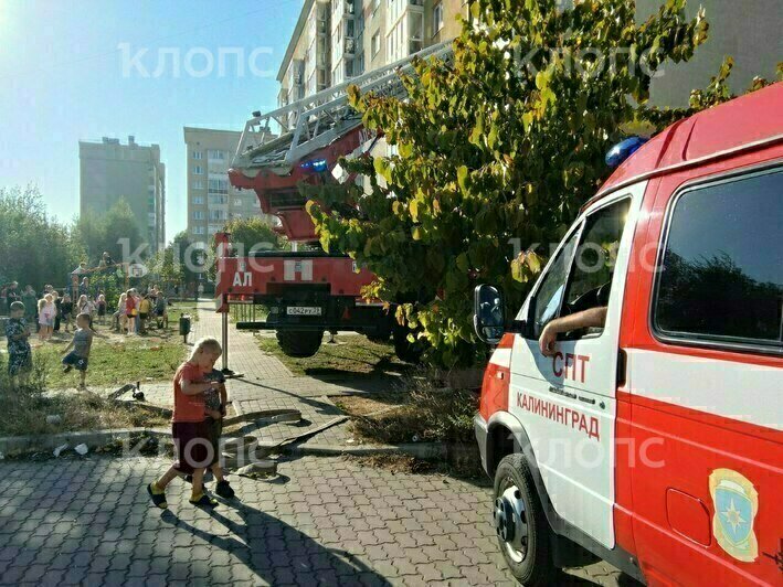 Вспыхнули вещи на балконе: на Левитана произошёл пожар в многоэтажке (фото, видео) - Новости Калининграда | Фото: очевидец