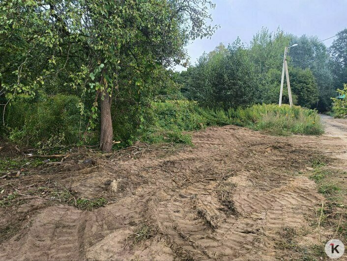 В Калининграде на улице Изумрудной уничтожили зелень (фото) - Новости Калининграда | Фото: очевидец