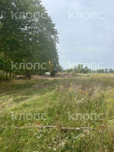 В Знаменске экскаваторы уничтожают парк, добывая природный камень (фото, видео)  - Новости Калининграда | Фото: очевидец