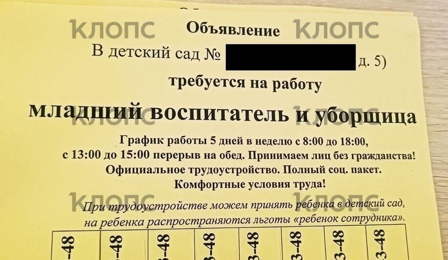 В калининградские детсады зазывают на работу лиц без российского гражданства  - Новости Калининграда