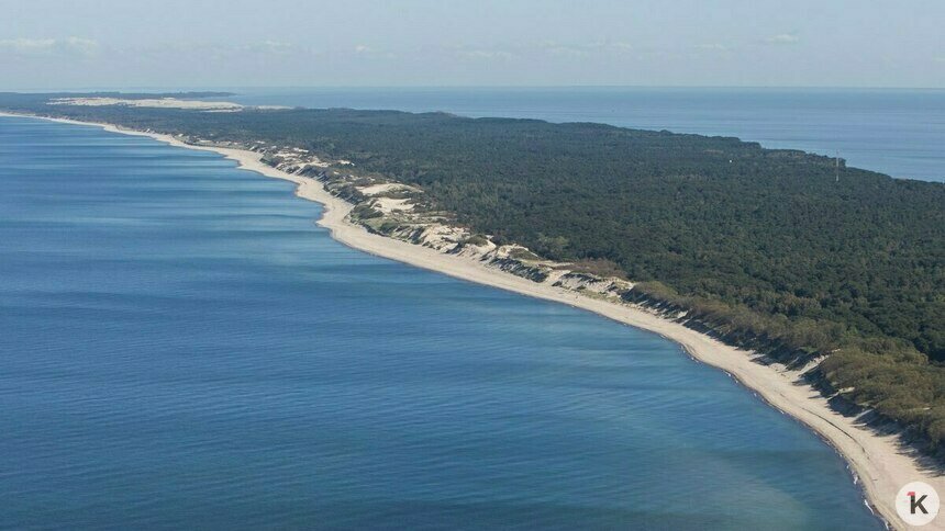 В областном правительстве пояснили, зачем потребовалось переводить Куршскую косу в «Иную зону»  - Новости Калининграда | Фото: Александр Подгорчук / Архив «Клопс»