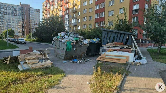 Жильцы домов вынуждены вываливать мусор на траву и пешеходную дорожку | Фото: Дмитрий