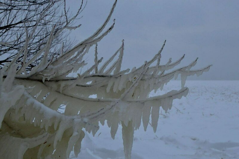 На побережье Куршского залива в Лесном появилось «ледяное царство» (фото)    - Новости Калининграда | Фото: телеграм-канал «Погода и метеоявления в Калининградской области»