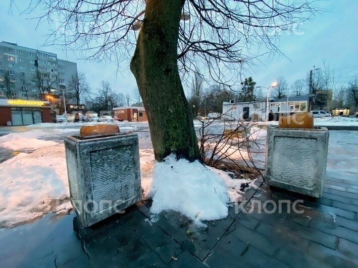 Наталья побывала на месте происшествия и показала, где упала | Фото: Александр Подгорчук / «Клопс»