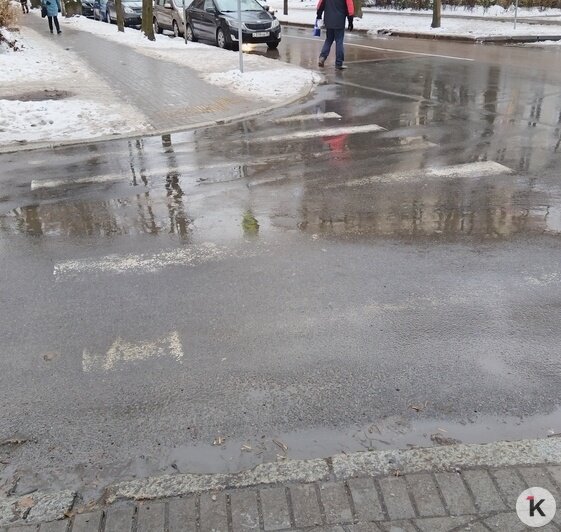 Сам себе гаишник: в центре Калининграда стёрлась разметка - Новости Калининграда | Фото читателя