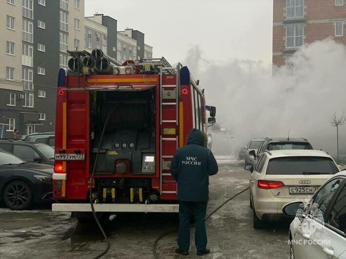 На Суздальской возле мусорки загорелся микроавтобус (фото) - Новости Калининграда | Фото: МЧС региона