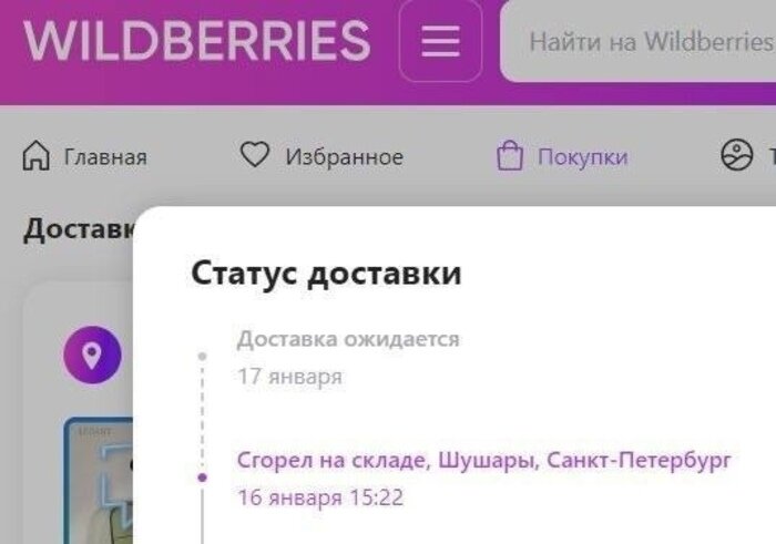 «Всё сгорело»: как пожар на складе Wildberries сказался на калининградских продавцах и покупателях - Новости Калининграда | Скриншот предоставлен читателями