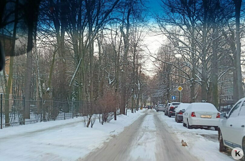 Сам себе гаишник: калининградец нашёл ещё одно преимущество брусчатки, разъезжая по заснеженному городу  - Новости Калининграда | Фото Татьяны Батыршиной