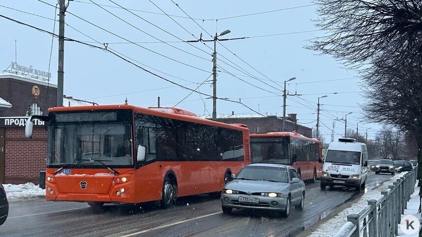 Едут своим ходом по городу до парка: в Калининград прибыла партия новых автобусов ЛиАЗ (фото)   - Новости Калининграда | Фото: Кирилл Мазур