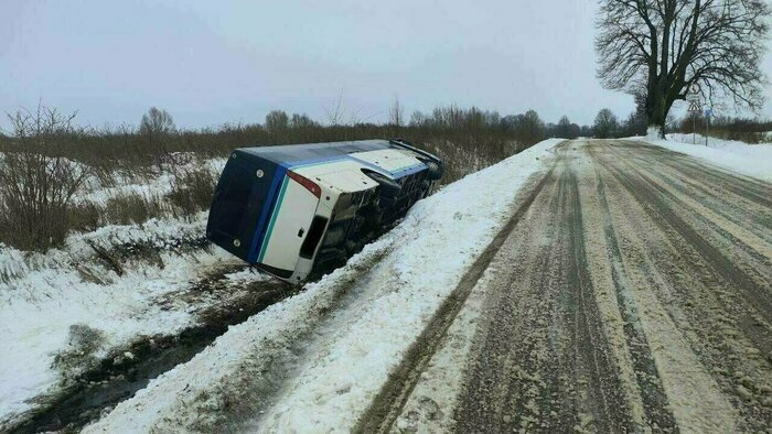 Крушение самолёта, смерть кота Твикса и воскресник мэрии в Калининграде: 8 новостей, которые вы могли пропустить в выходные - Новости Калининграда | Фото: пресс-служба региональной ГИБДД