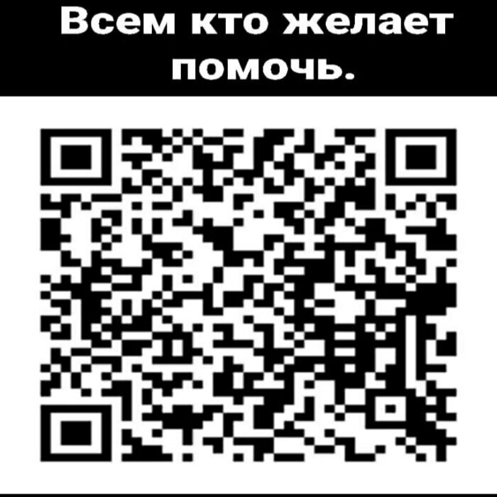 Усыпить не поднимается рука: калининградские волонтёры спасают щенка с врождённым вывихом задних лап (фото, видео) - Новости Калининграда