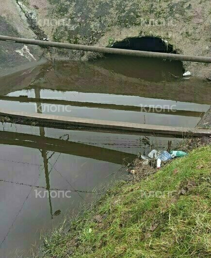 «В гаражи не зайти»: в Голубой реке в районе Ломоносова поднялся уровень воды - Новости Калининграда | Фото читателя