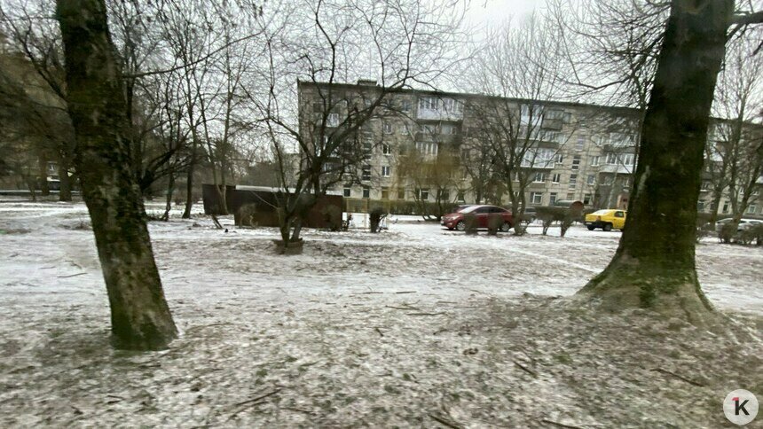 Фестивальную аллею планируют продлить для пешеходов до Советского - Новости Калининграда | Фото: Александр Подгорчук / «Клопс»