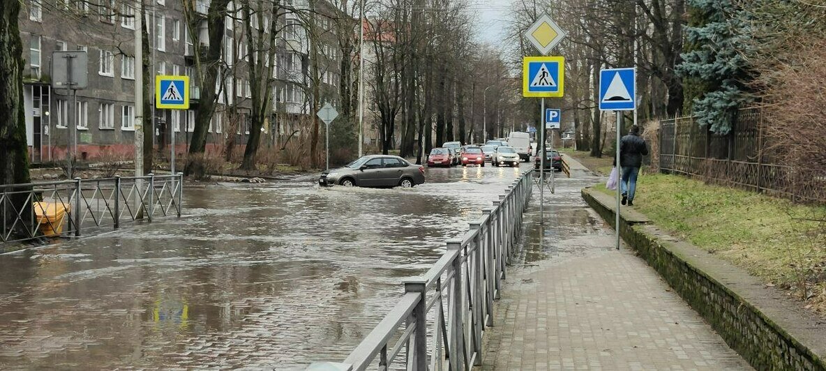 Начало затапливать соседние улицы: после аварии у зоопарка рванули трубы на Кирова (фото) - Новости Калининграда | Фото очевидцев