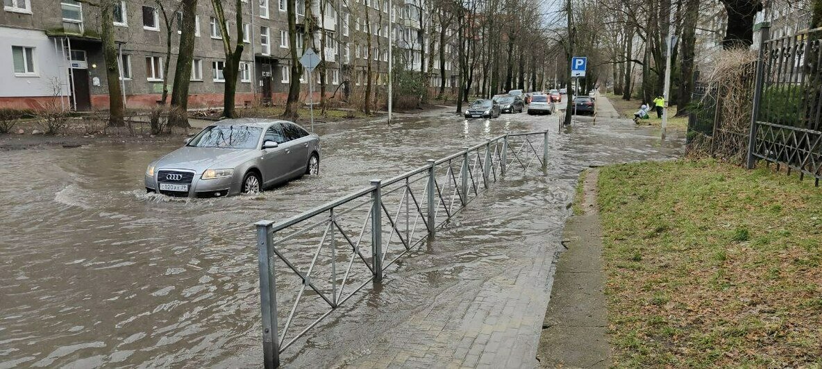 Начало затапливать соседние улицы: после аварии у зоопарка рванули трубы на Кирова (фото) - Новости Калининграда | Фото очевидцев