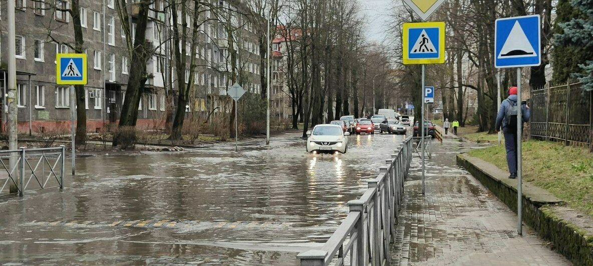 Начало затапливать соседние улицы: после аварии у зоопарка рванули трубы на Кирова (фото) - Новости Калининграда | Фото очевидцев