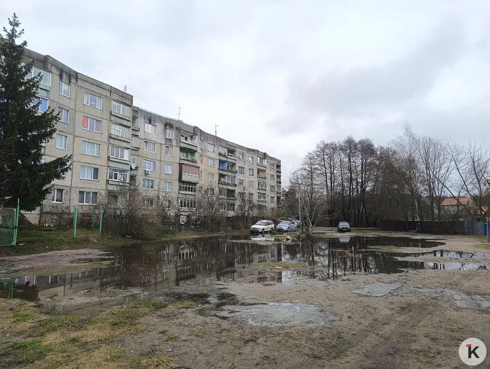 Вода в подвалах, на участках и новом сквере: жители Космодемьянского жалуются на подтопления - Новости Калининграда | Фото предоставлено читателем издания