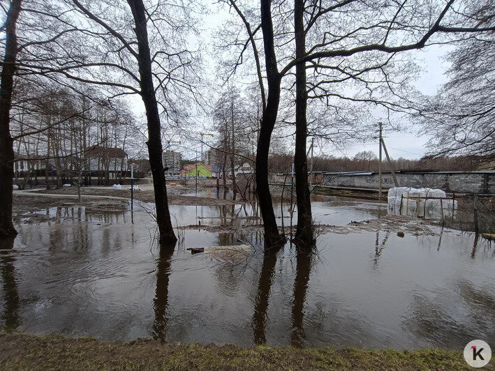 Вода в подвалах, на участках и новом сквере: жители Космодемьянского жалуются на подтопления - Новости Калининграда | Фото предоставлено читателем издания