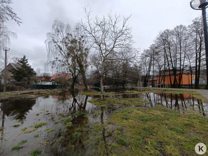 Вода в подвалах, на участках и новом сквере: жители Космодемьянского жалуются на подтопления - Новости Калининграда | Фото предоставлено читателем издания