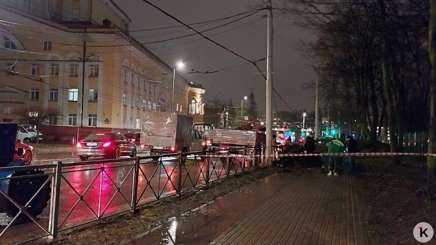 В Калининграде на Мира и Тельмана на дорогу упали деревья и перекрыли движение - Новости Калининграда | Фото Михаила Лаврускайтиса