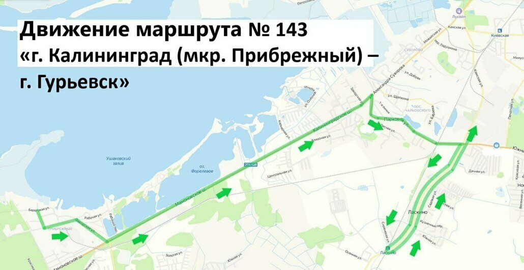Калининградцам напомнили о введении одностороннего движения на Мамоновском шоссе (схема объезда)  - Новости Калининграда | Схемы: пресс-служба регионального УМВД