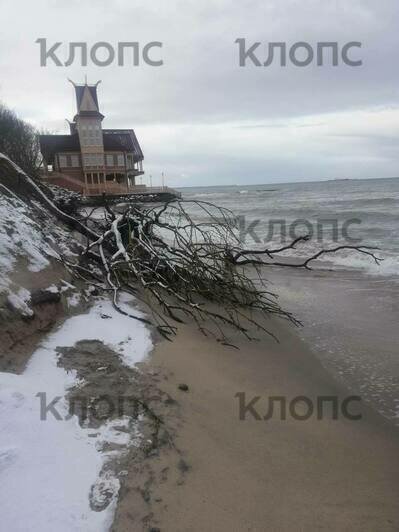 Берег в районе зеленоградского городского кладбища  | Фото: очевидец 