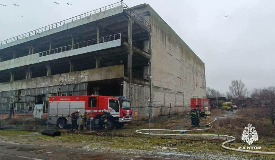 В Светлом загорелся рыбоконсервный комбинат   - Новости Калининграда | Фото: пресс-служба МЧС региона