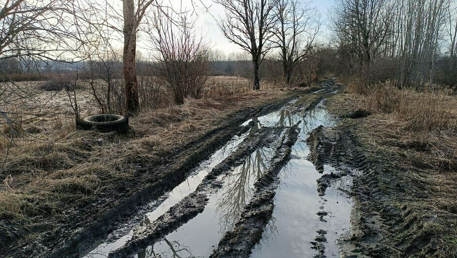 Под Калининградом появилось кладбище детских велосипедов, которое дорожники не могут убрать — машины вязнут в грязи (фото) - Новости Калининграда | Фото: администрация Калининграда