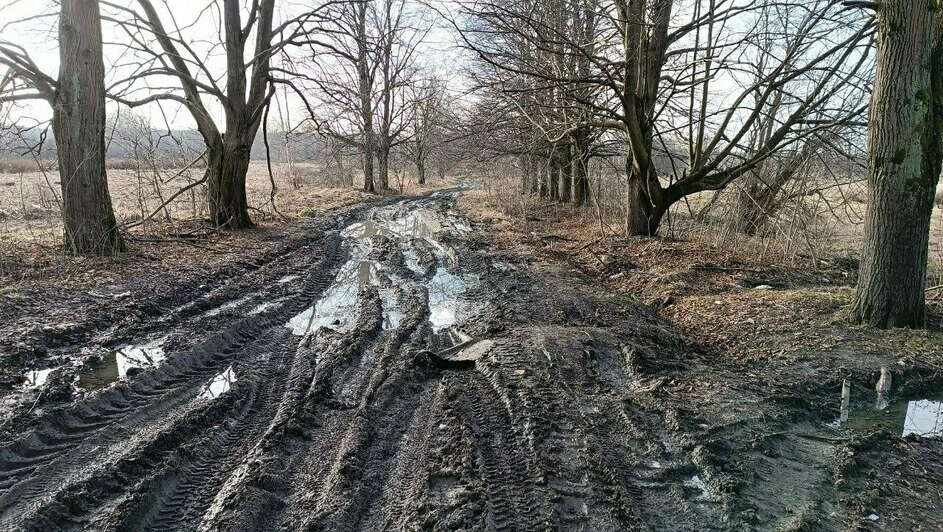 Под Калининградом появилось кладбище детских велосипедов, которое дорожники не могут убрать — машины вязнут в грязи (фото) - Новости Калининграда | Фото: администрация Калининграда