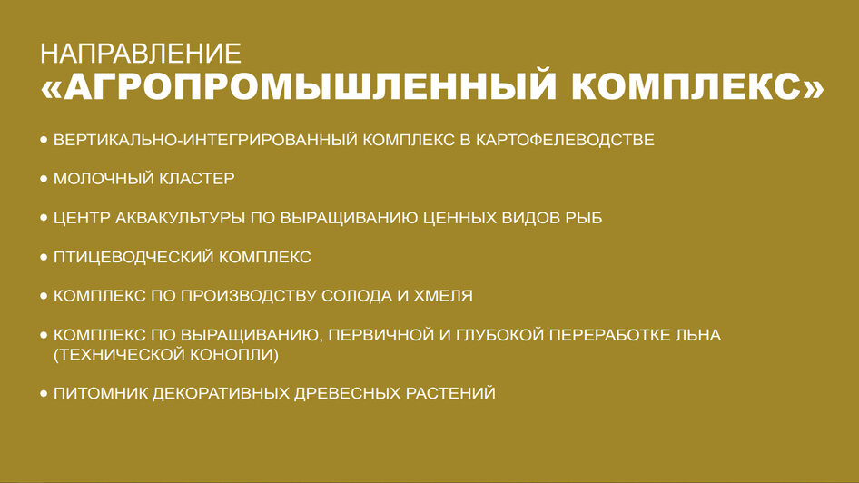 5 направлений, 24 проекта-маяка и 100 миллионов рублей: какие стартапы в приоритетах - Новости Калининграда